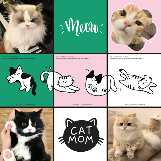 Minimalist Series - White Frame Lines - 11x11