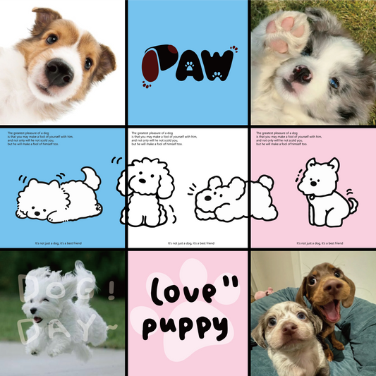 Minimalist Series - Black Frame Lines - 11x11