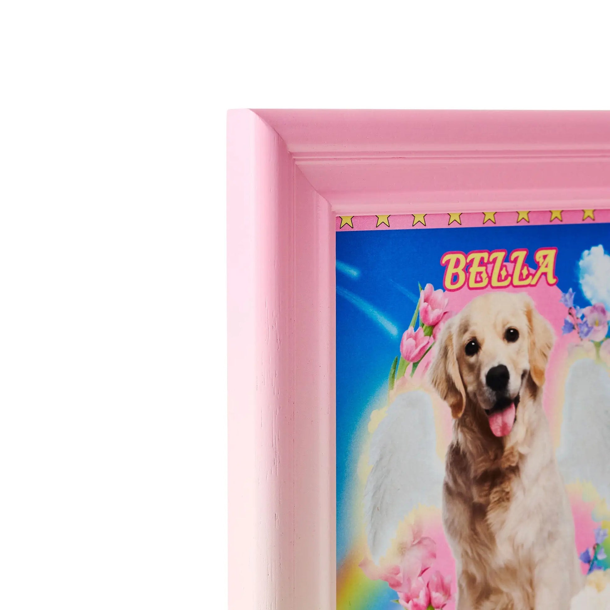 PetA - Pink lines Framzoo