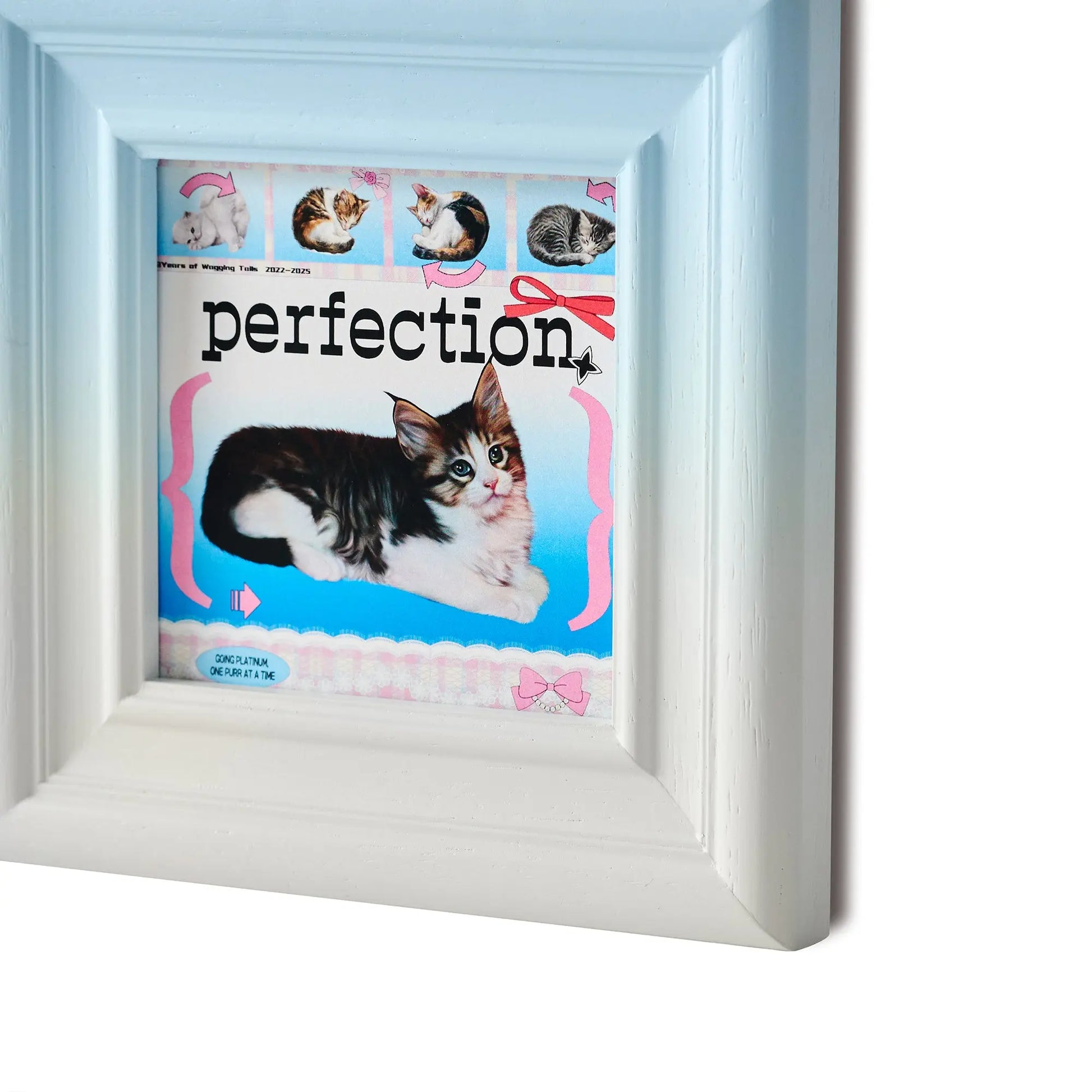 PetA - Blue line Framzoo