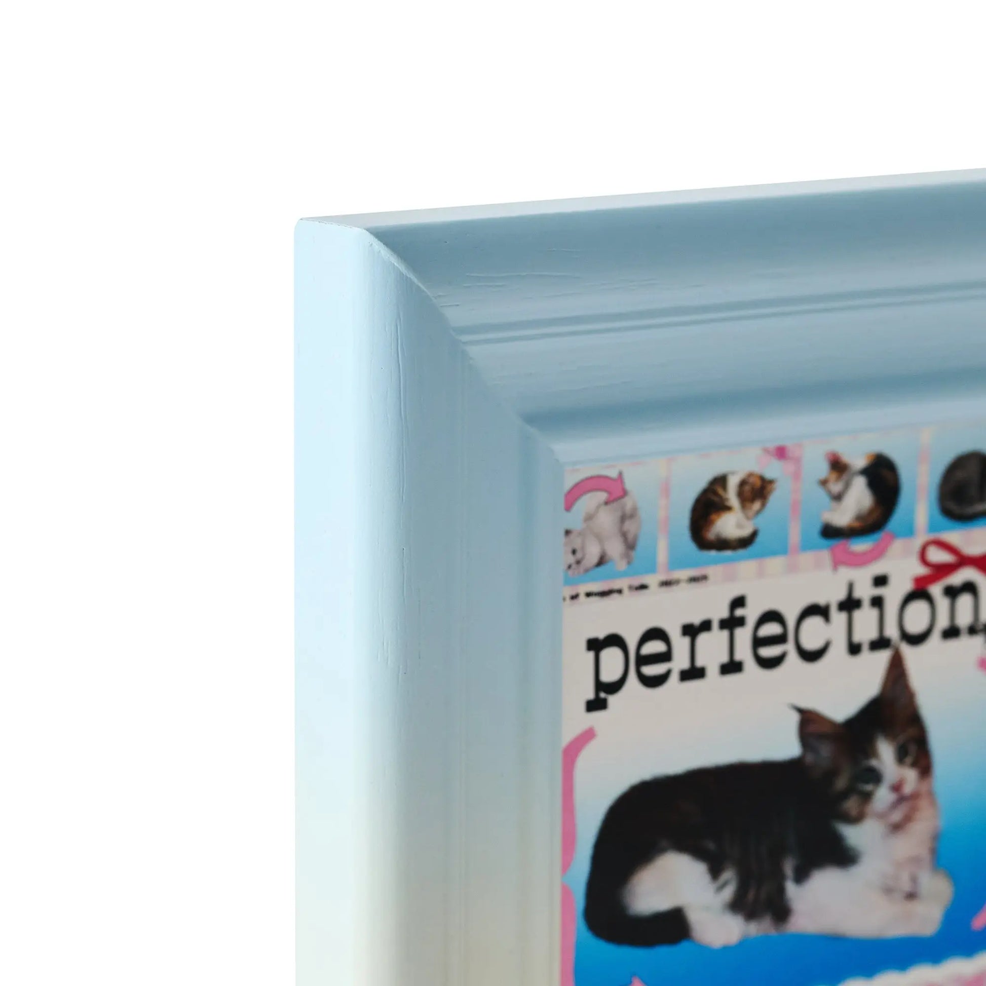 PetA - Blue line Framzoo