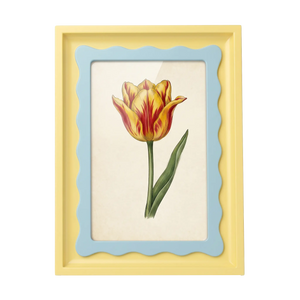 The Riviera Tulip