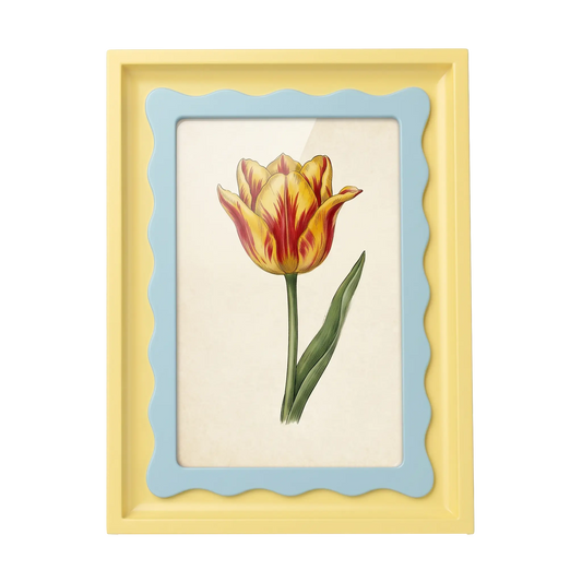 The Riviera Tulip