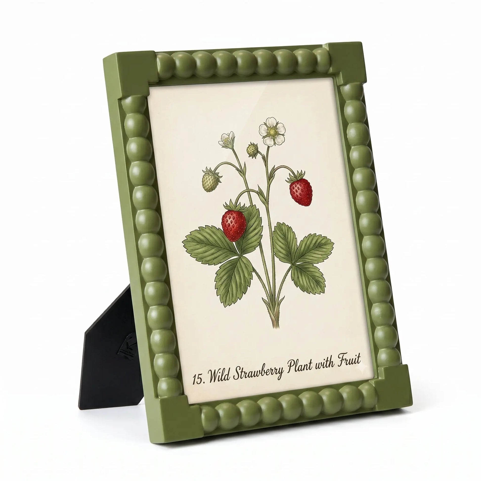 The Bobbin Meadow