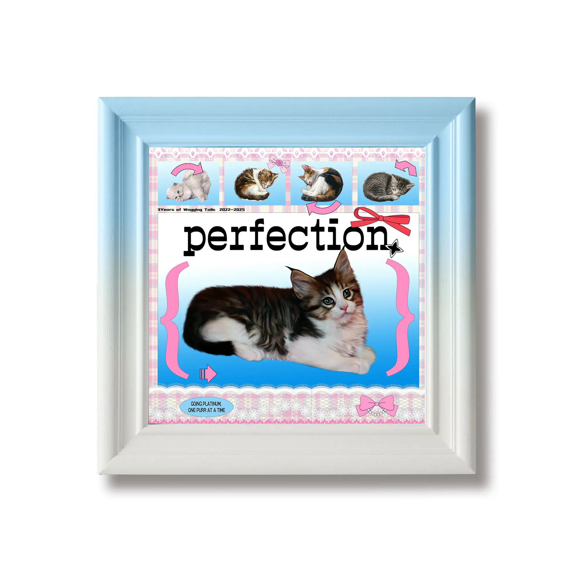 PetA - Blue line Framzoo