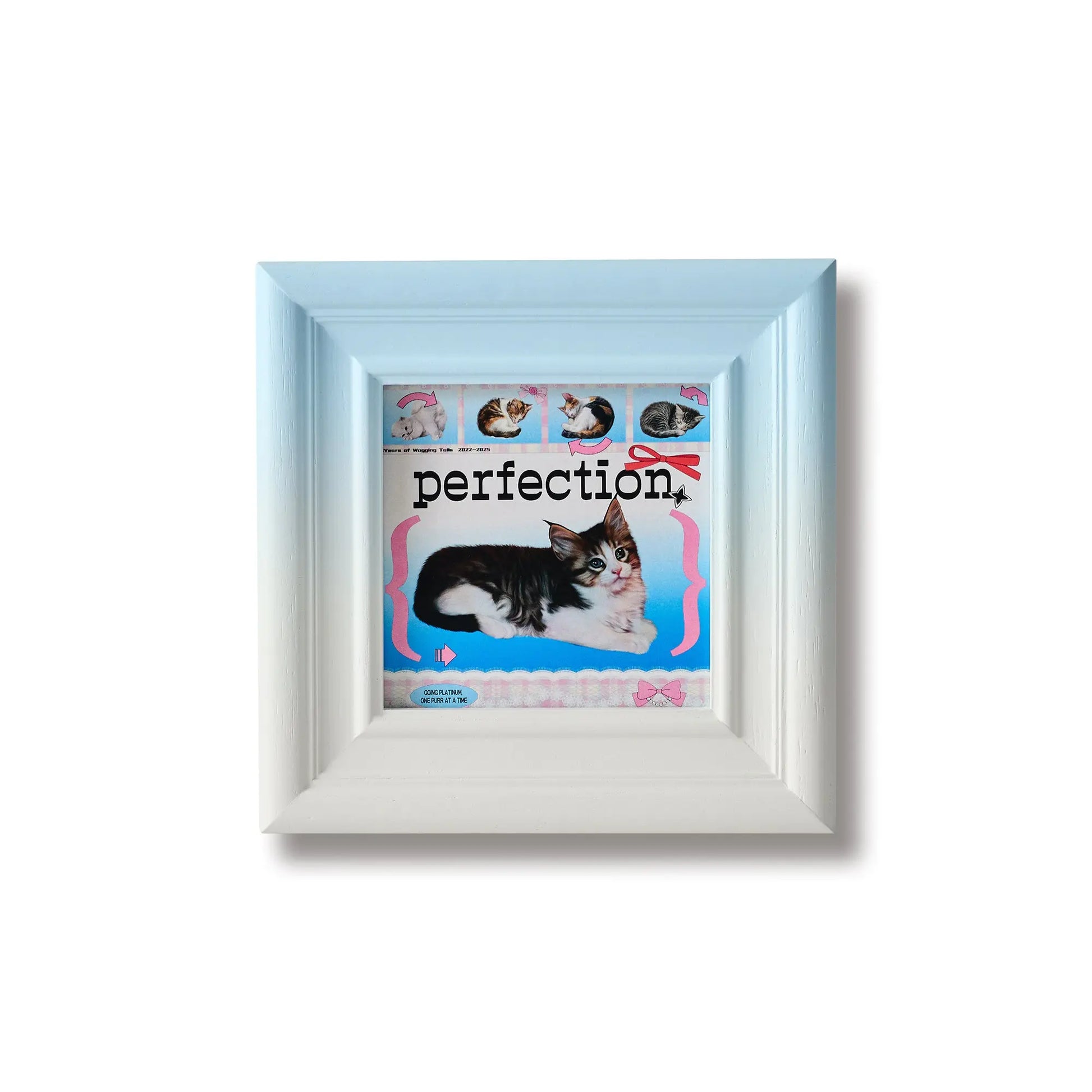 PetA - Blue line Framzoo