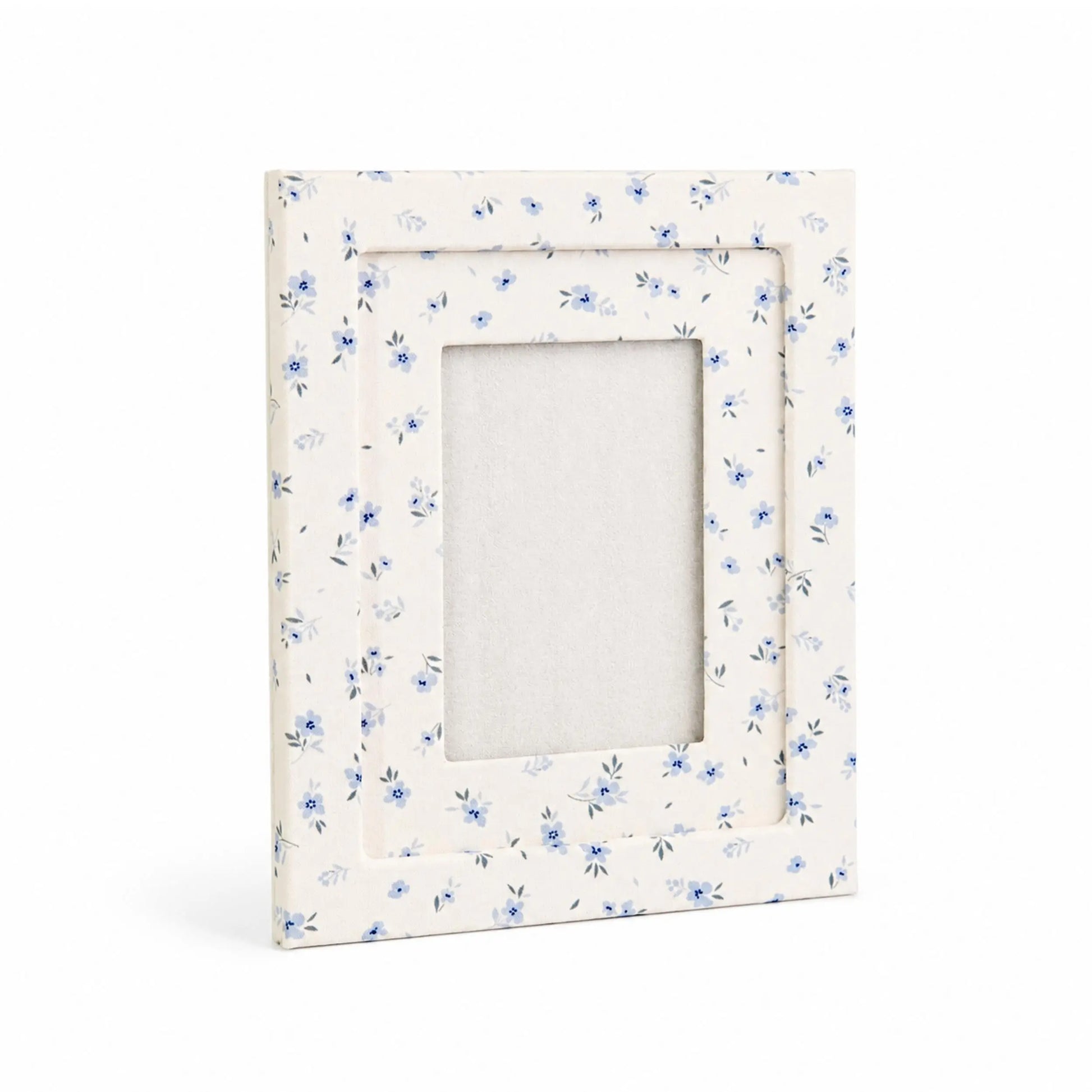 Ice Blue Meadow Frame