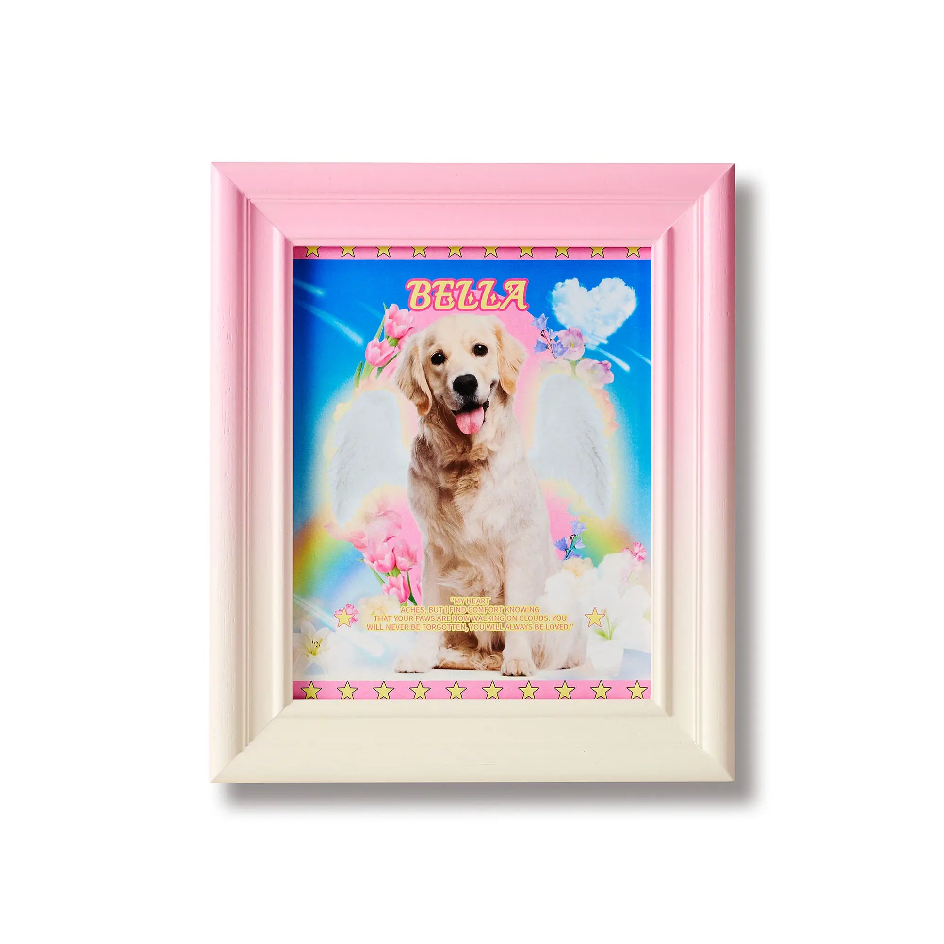 PetA - Pink lines Framzoo
