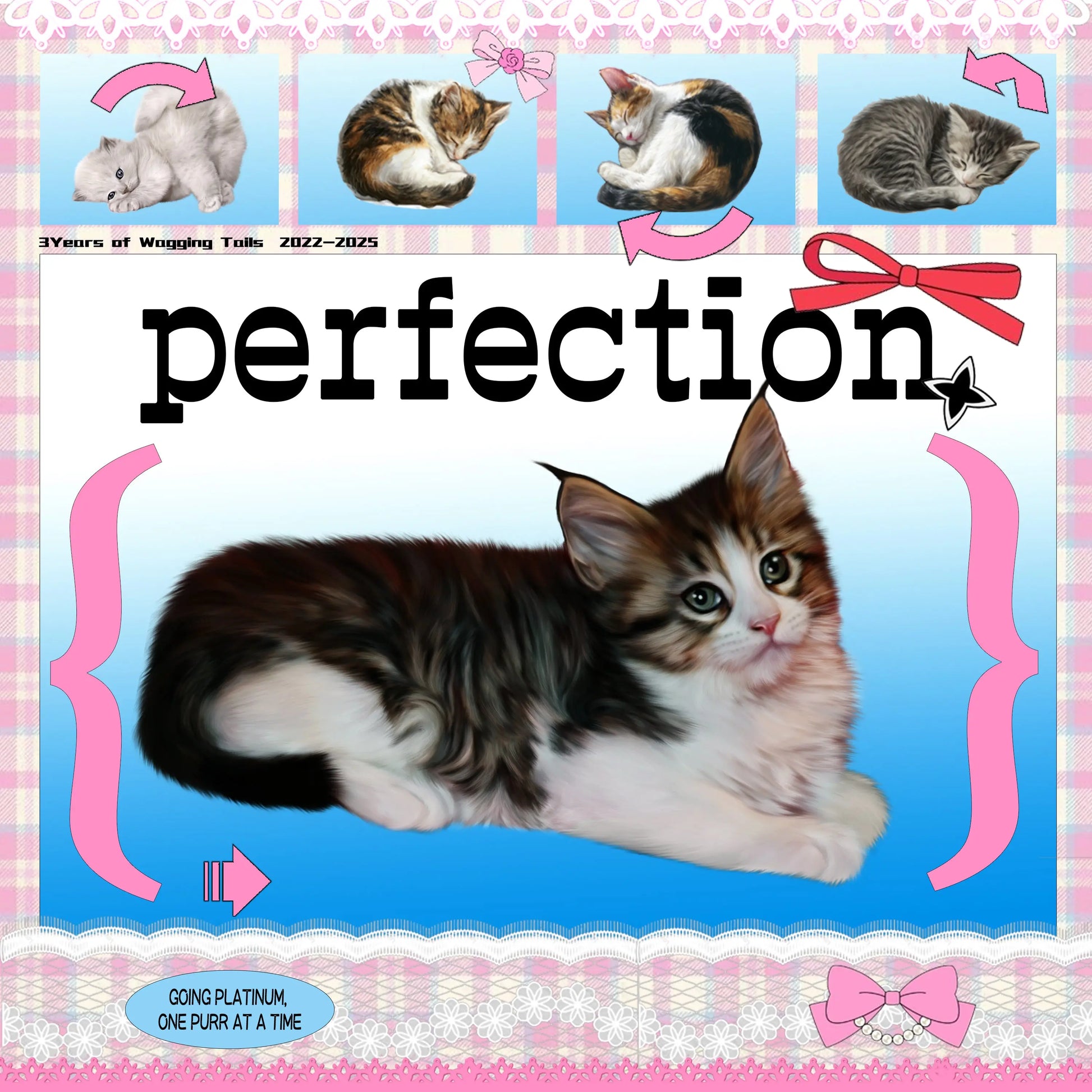 PetA - Blue line Framzoo